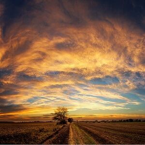 Meet your Posher, Aurora